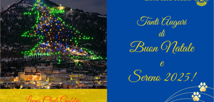 Auguri di Buone Feste LC GUBBIO